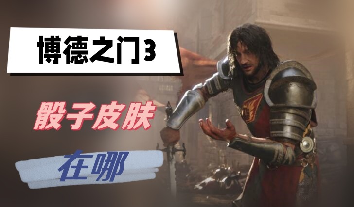 博德之门3骰子皮肤怎么换-博德之门3骰子皮肤更换位置分享