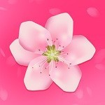 暗tv手机版下载大全