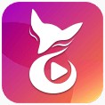 樱花app直播间