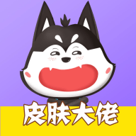 皮肤大佬_logo