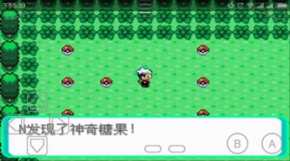 森林里的可爱宝可梦们0